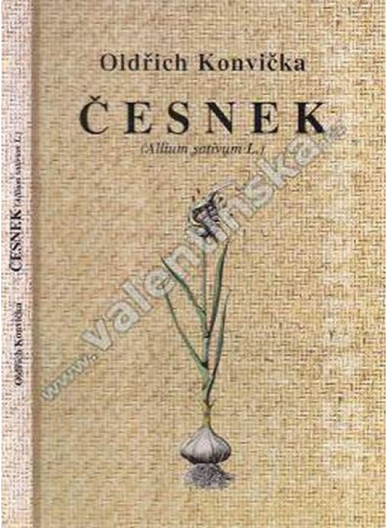 Česnek (Allium sativum L.) FONTÁNA ESOTERA, s.r.o.