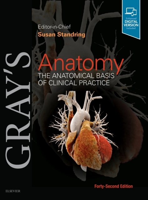 Gray´s Anatomy : The Anatomical Basis of Clinical Practice Elsevier