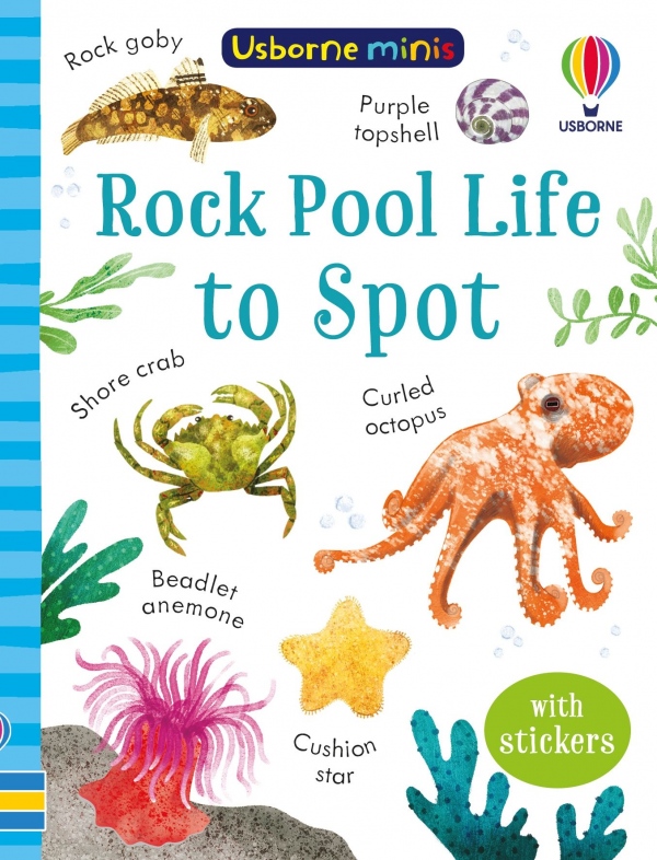 Rock Pool Life to Spot Usborne Publishing