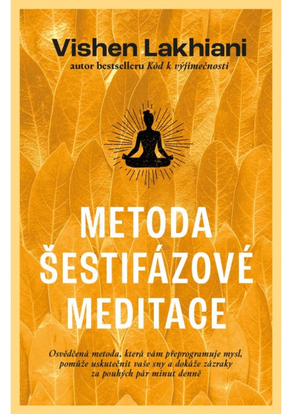 Metoda šestifázové meditace DOBROVSKÝ s.r.o.