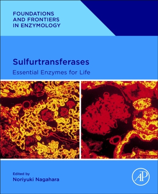 Sulfurtransferases, Essential Enzymes for Life Elsevier