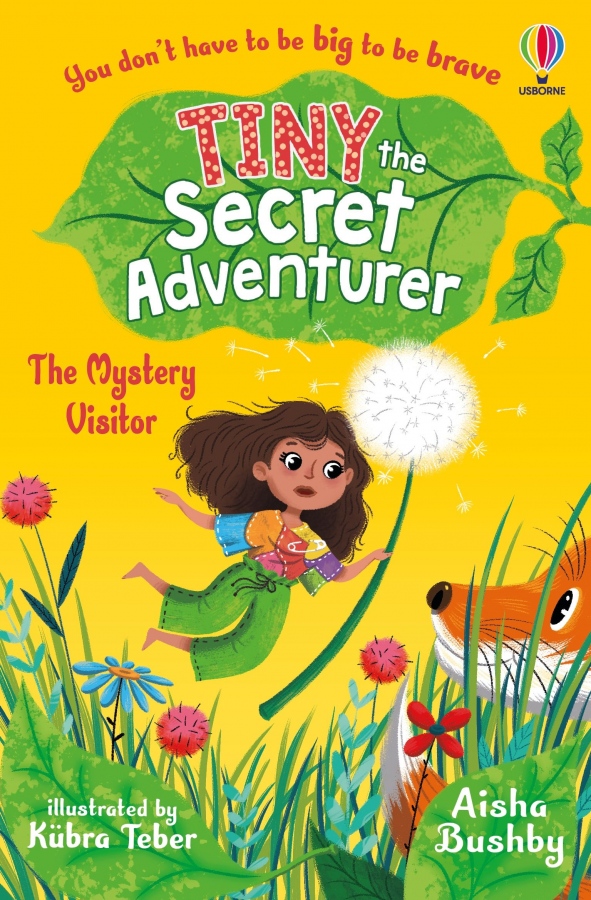 Tiny the Secret Adventurer: The Mystery Visitor Usborne Publishing