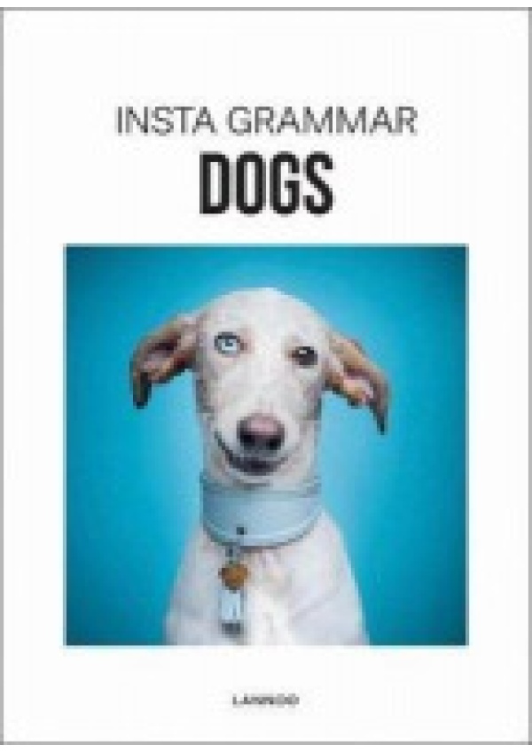 Insta Grammar Dogs Lannoo Publishers
