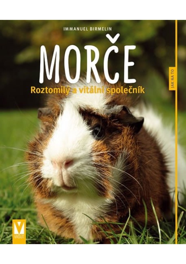 Morče - Roztomilý a vitální společník Jan Vašut s.r.o.