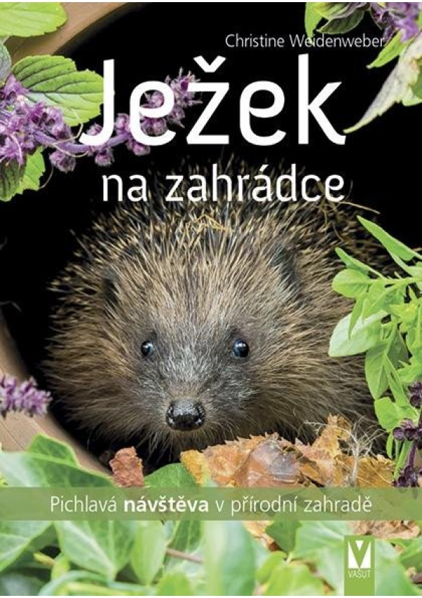 Ježek na zahrádce - Pichlavá návštěva v přírodní zahradě Jan Vašut s.r.o.