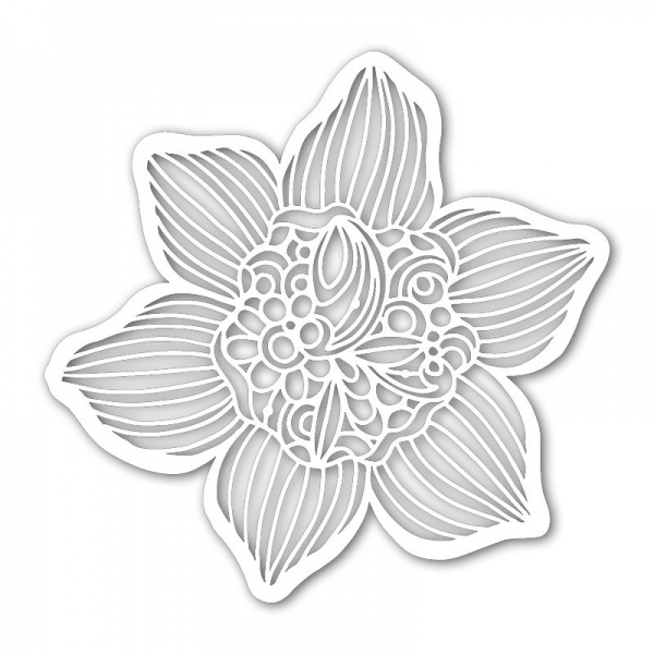 Šablona TCW 12aquot;x12aquot; (30,5x30,5 cm) - Cupped Daffodil Aladine