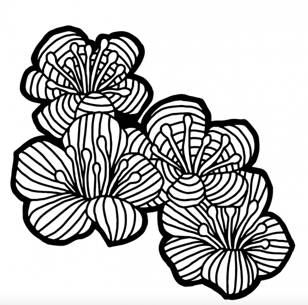 Šablona TCW 12aquot;x12aquot; (30,5x30,5 cm) - Hawthorn Flowers Aladine