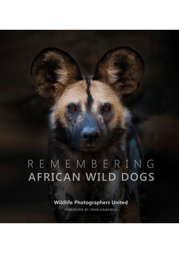 Remembering African Wild Dogs Remembering Wildlife