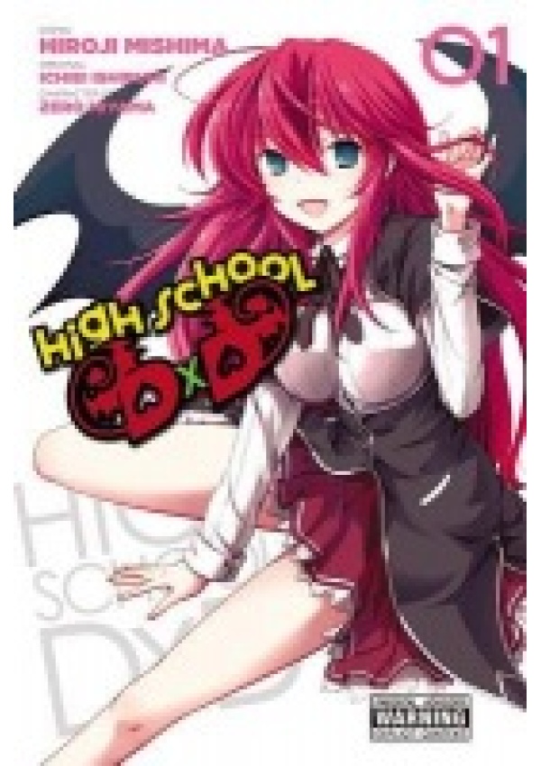 High School DxD, Vol. 1 Little, Brown & Company