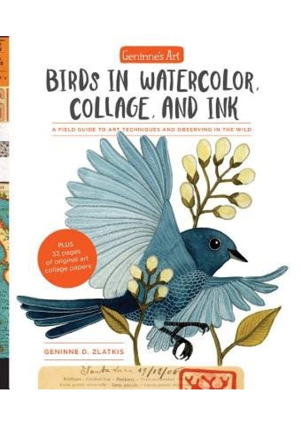 Geninne's Art: Birds in Watercolor, Collage, and Ink, A field guide to art techniques and observing in the wild Quarto Publishing Group USA Inc