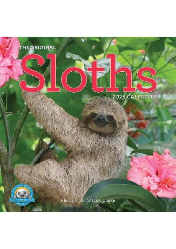 Original Sloths Wall Calendar 2025, The Ultimate Experts at Slowing Down Workman Publishing