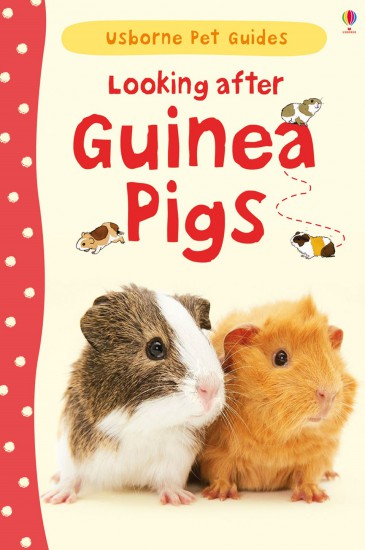 Looking after guinea pigs Usborne Publishing