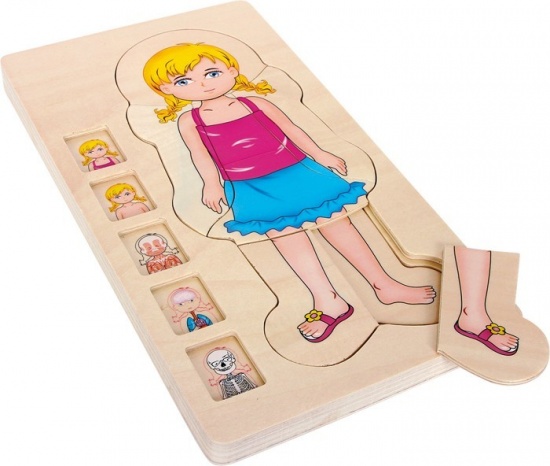 Puzzle Anatomie Montessori