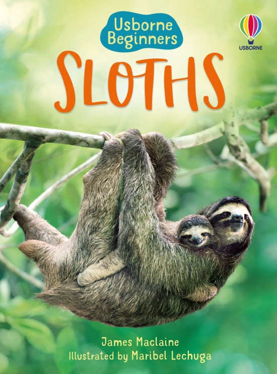 Usborne Beginners Sloths Usborne Publishing