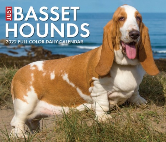 Basset Hounds 2022 Box Calendar - Dog Breed Daily Desktop - výprodej nezadán