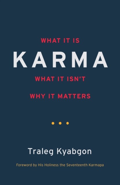Karma : What It Is, What It Isn´t, Why It Matters nezadán